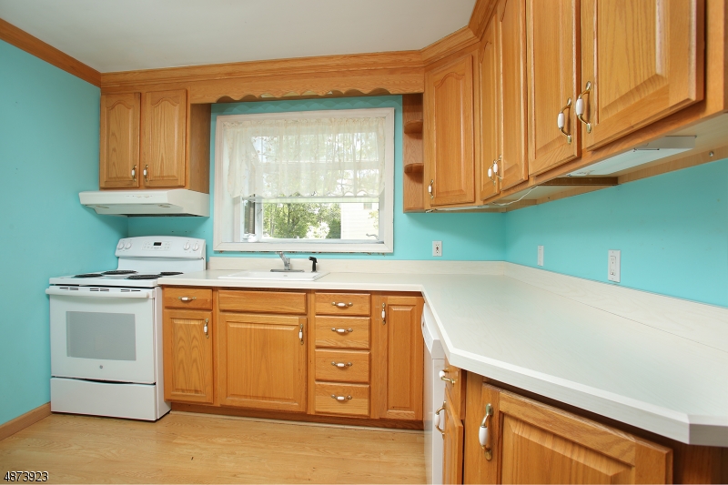 Lake Parsippany - Residential