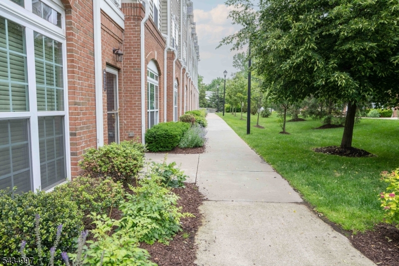 Essex Park - Residential