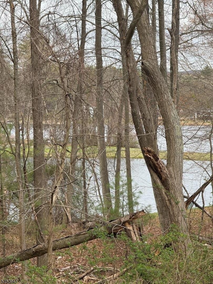 Holiday Lakes - Land