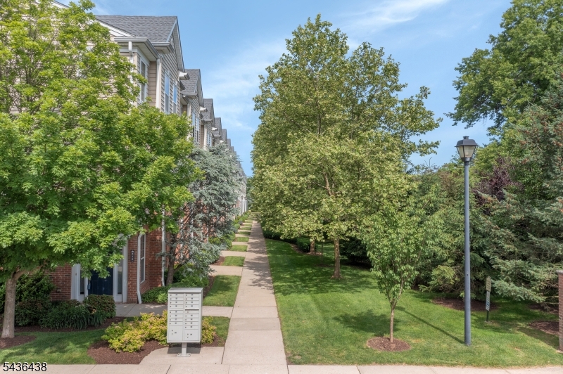 Essex Park - Residential