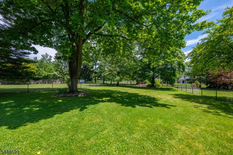 Whippany - Residential