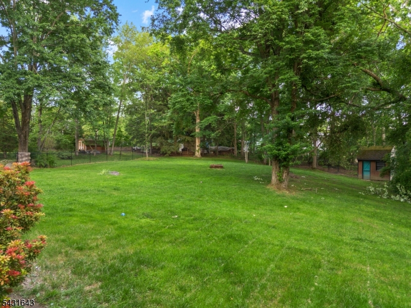 Pine Brook - Residential