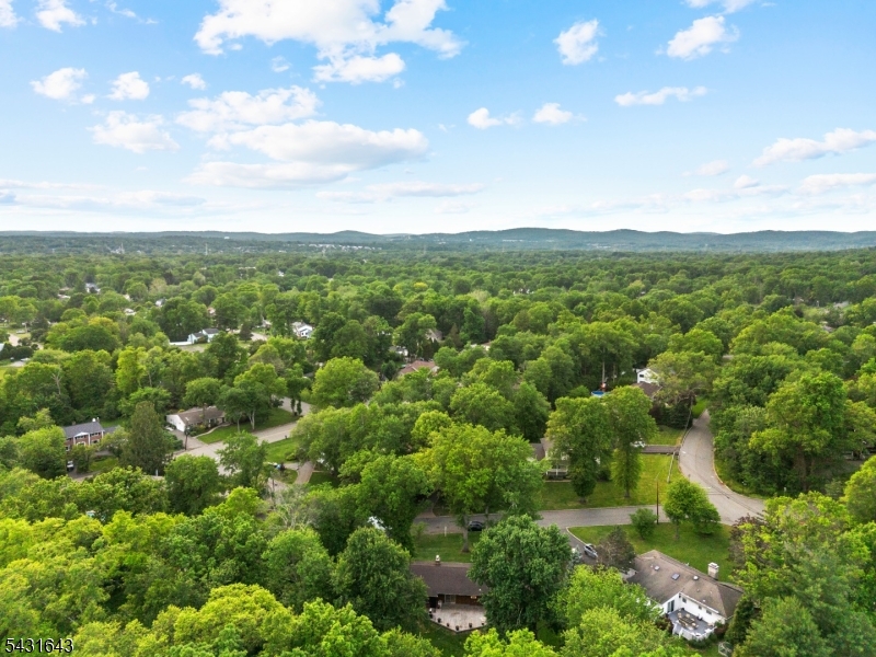 Pine Brook - Residential