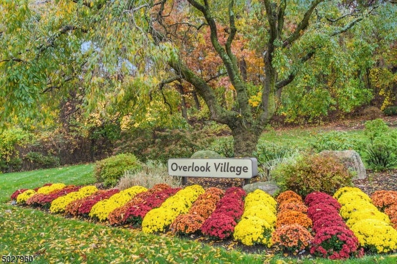 Overlook - Residential