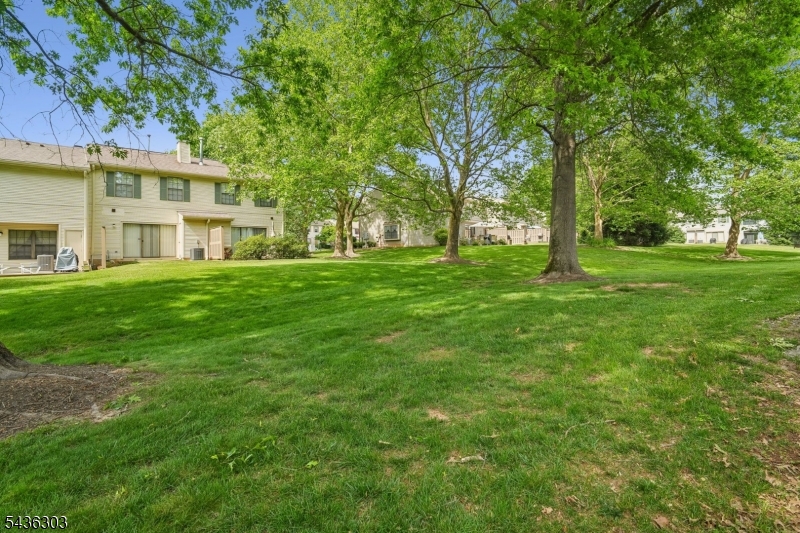 Society Hill - Residential
