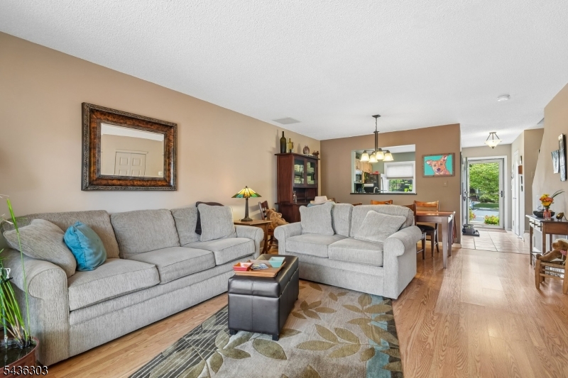 Society Hill - Residential
