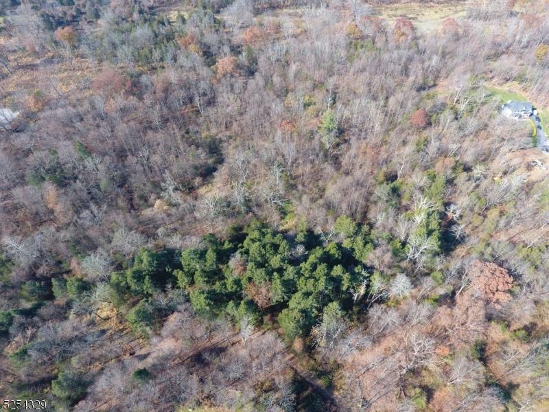 Brecia Farms - Land
