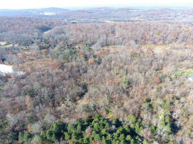 Brecia Farms - Land