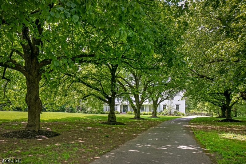 Green Village - Residential