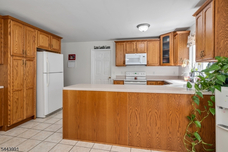 Budd Lake - Residential