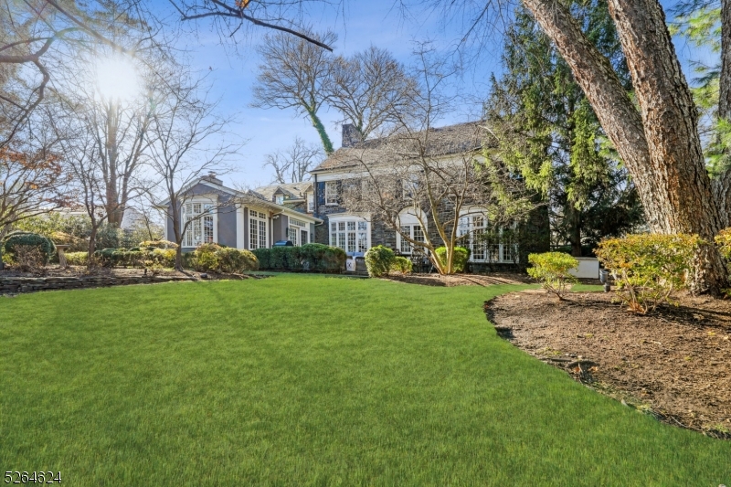 The Hill - Residential