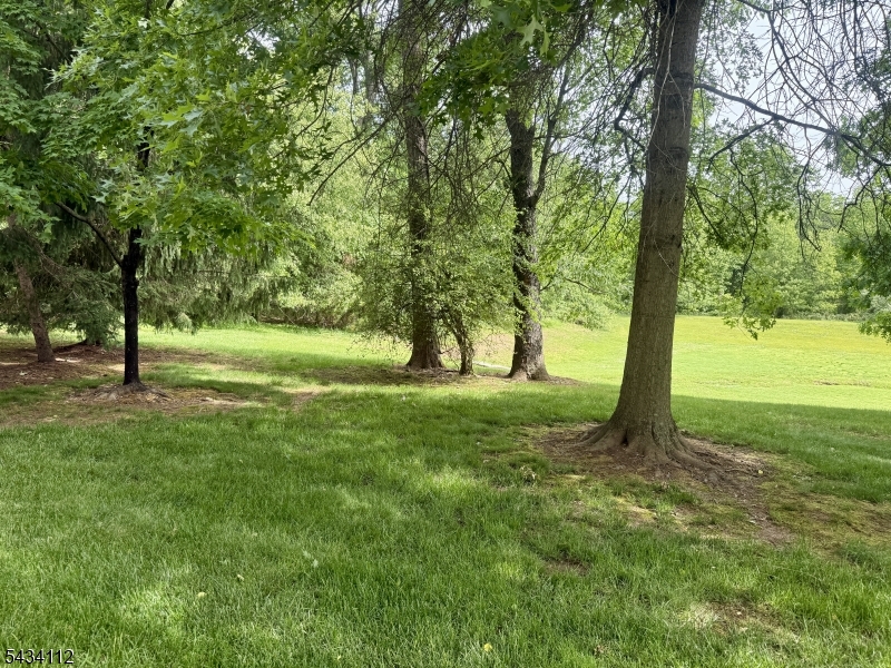 SOCIETY HILL AT SOMERSET IV - Residential