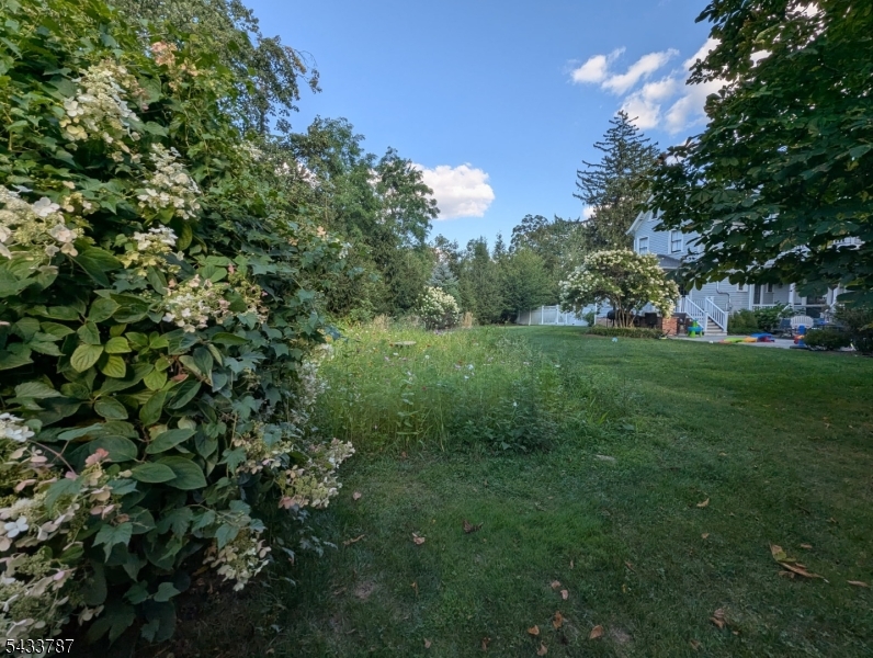 Washington's Headquarters - Residential