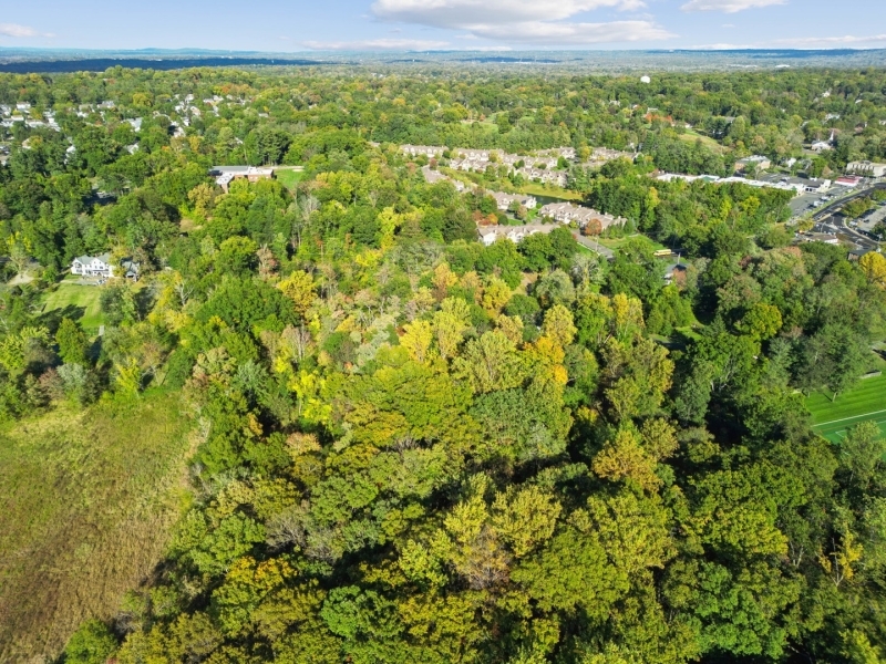 GREEN VILLAGE - Residential