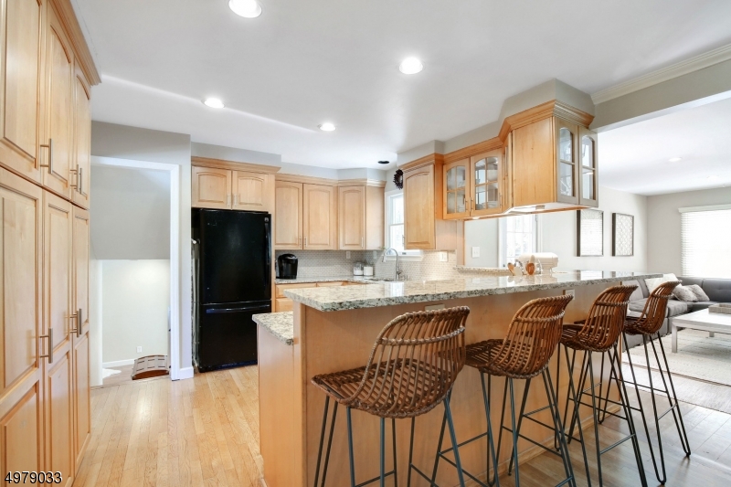 Burnham Park - Residential