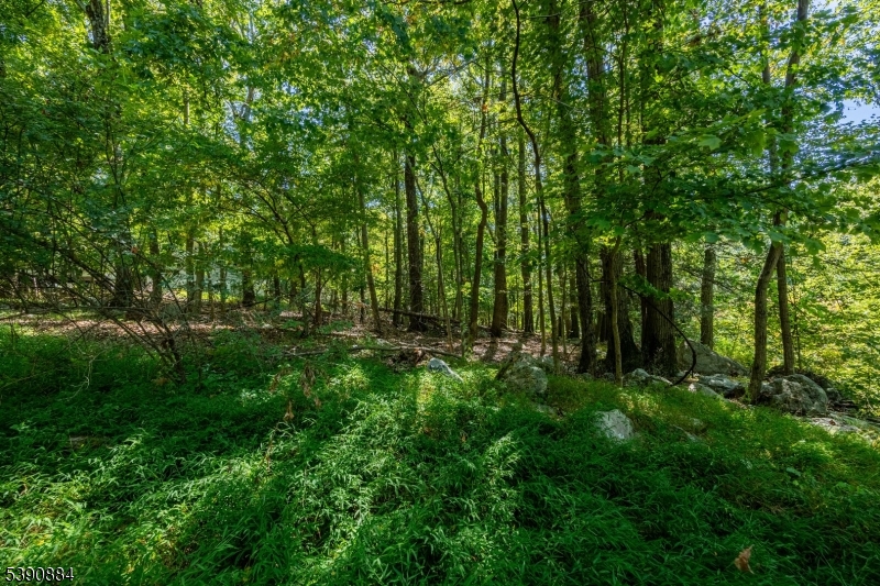 Discover the perfect setting for your next home or investment in the desirable Highland Lakes area of Vernon! This 0.61acre parcel is located in a peaceful neighborhood within the Planned Lakes Community (PLC) zone, offering flexibility for residential development and recreation. The lot features a natural wooded landscape with access to nearby lakes, beaches, and community amenities. Enjoy year-round outdoor activities including hiking, skiing, and boating all just minutes from Mountain Creek and Warwick, NY.Buyer responsible for all due diligence, permits, and utility verification. Great opportunity to build in one of Vernon's most scenic lake communities!