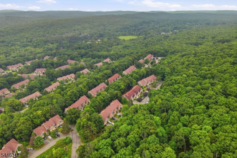 Bald Eagle Village - Residential
