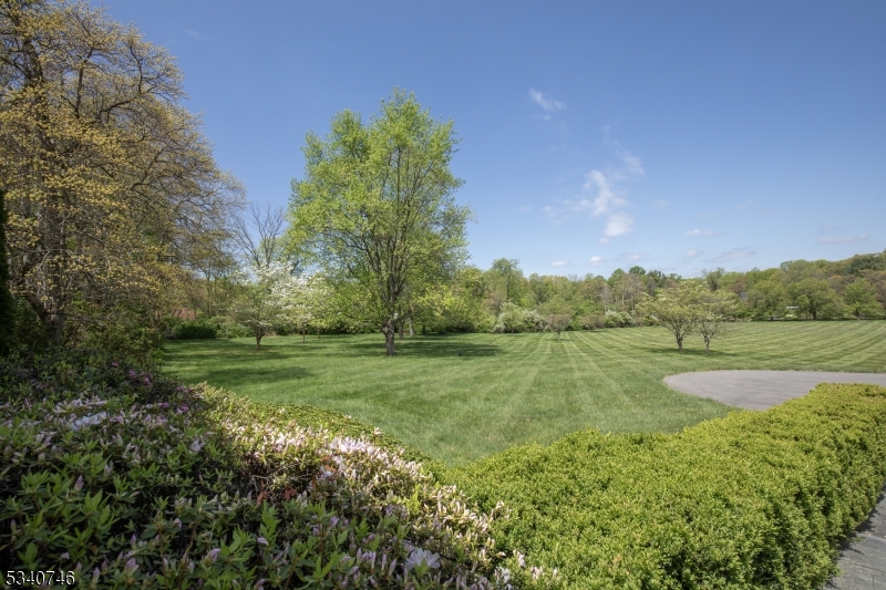Mountainville - Residential
