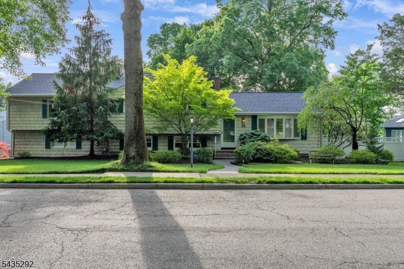 Packanack Woods - Residential