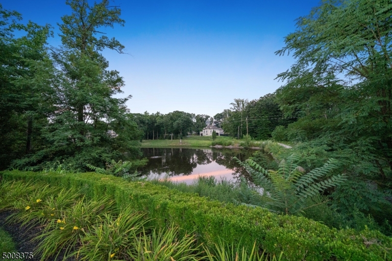 The Pond - Residential