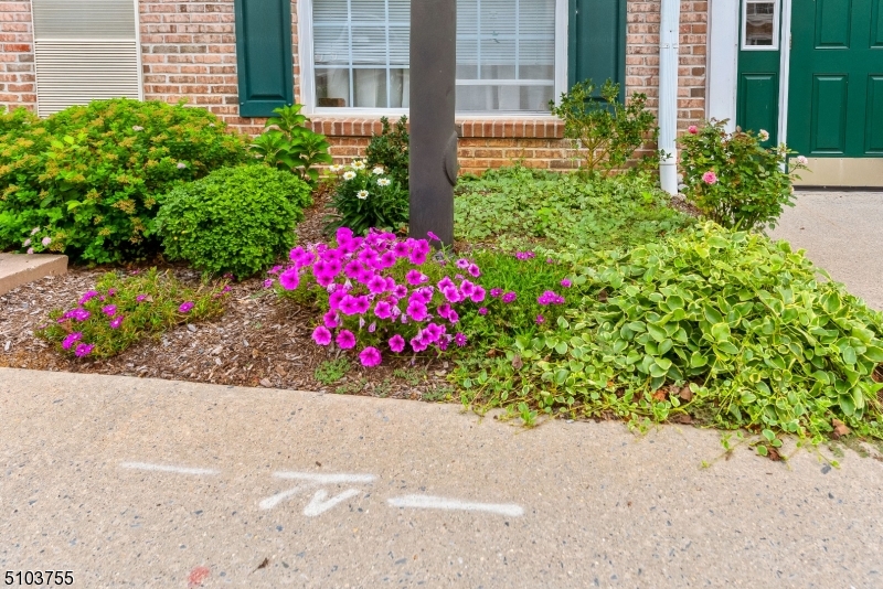 Warren Heights - Residential