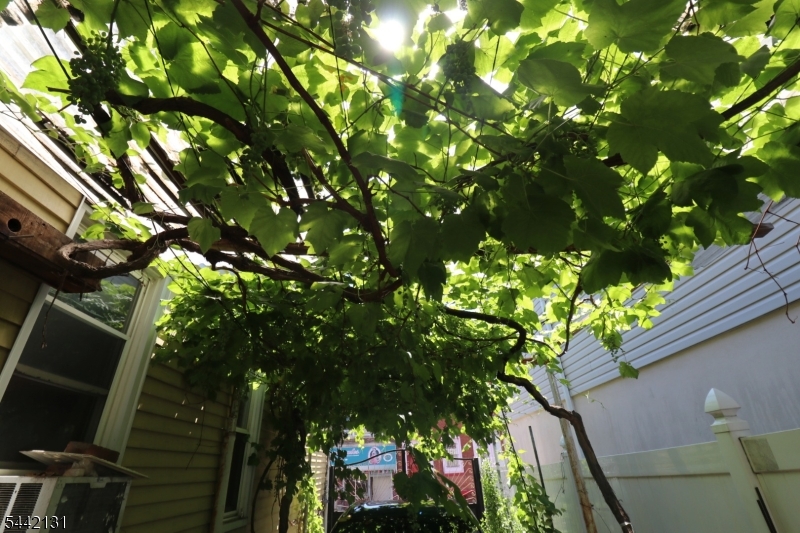 Ironbound - Residential Income