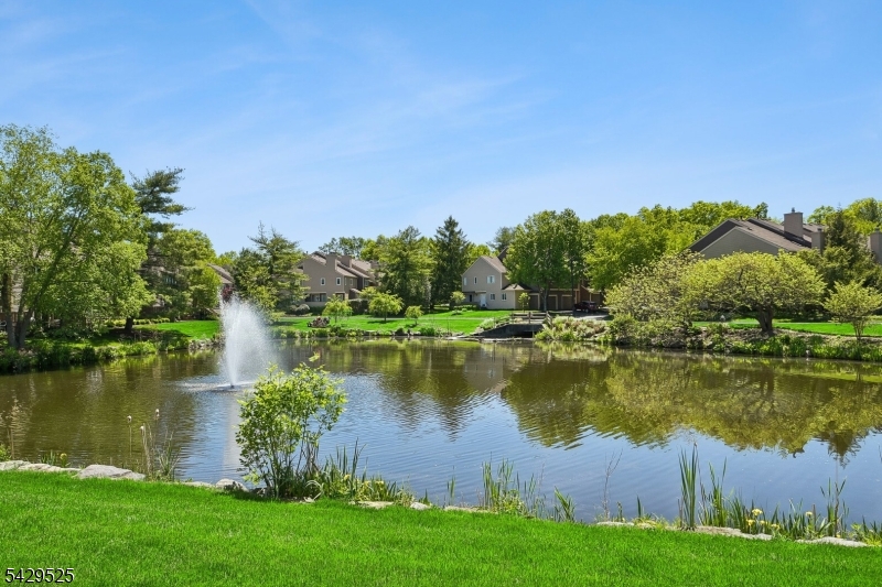 Madison Common - Residential