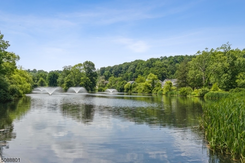 Burnham Park - Residential