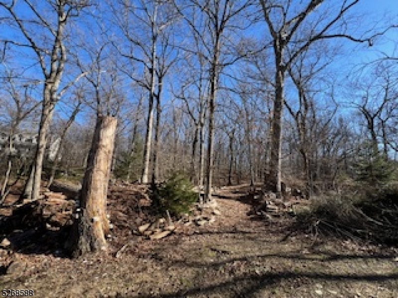 Cedar Lake - Residential