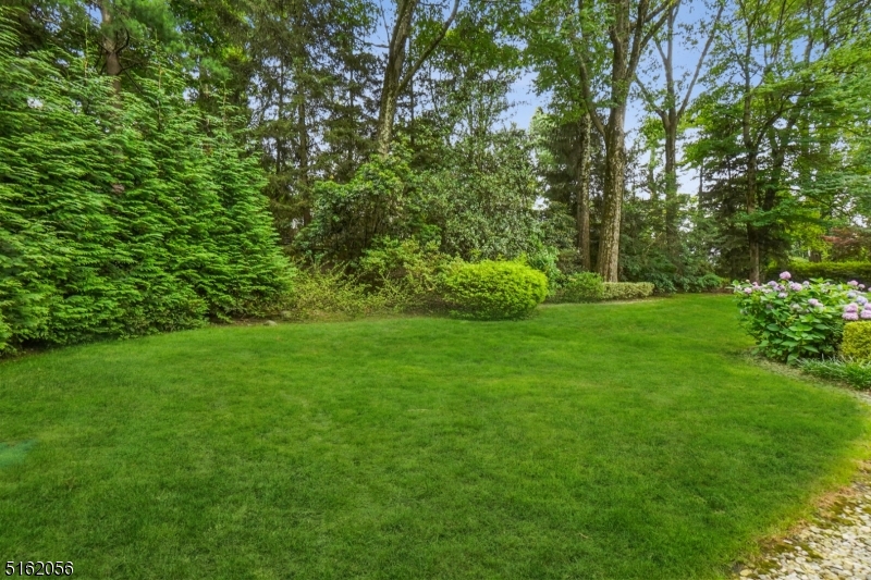 DEERFIELD - Residential
