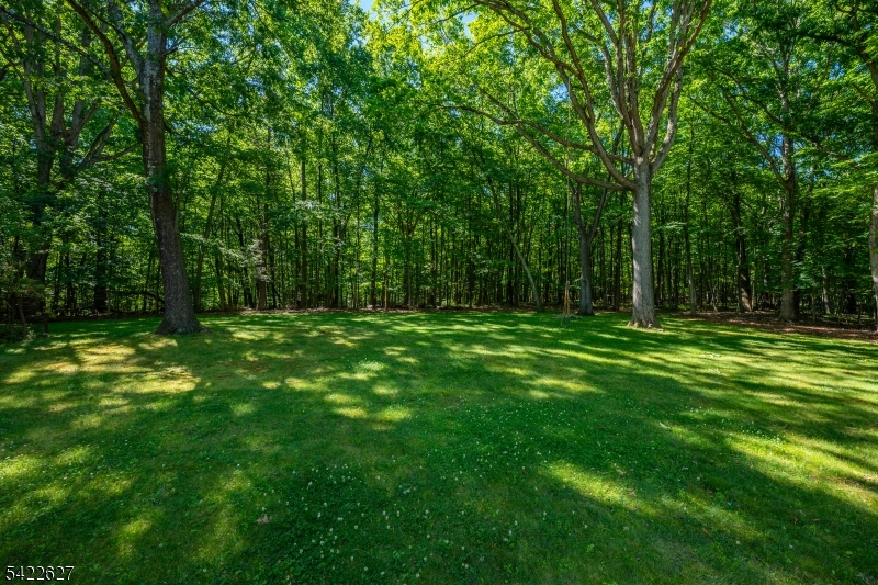 Meriden - Residential