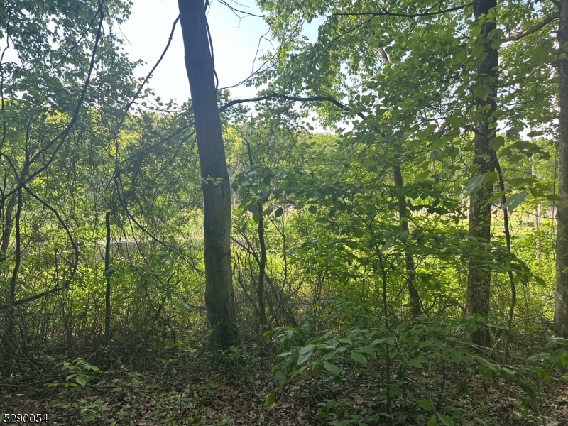 Hewitt - Land