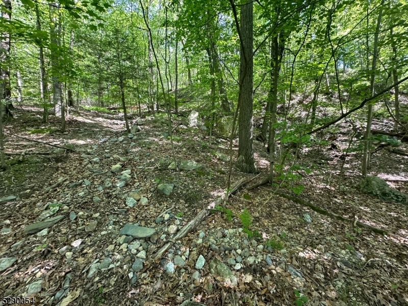 Hewitt - Land