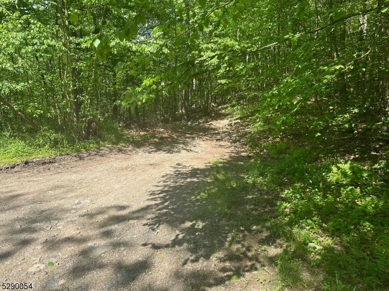 Hewitt - Land