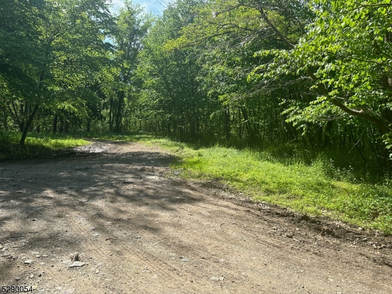 Hewitt - Land