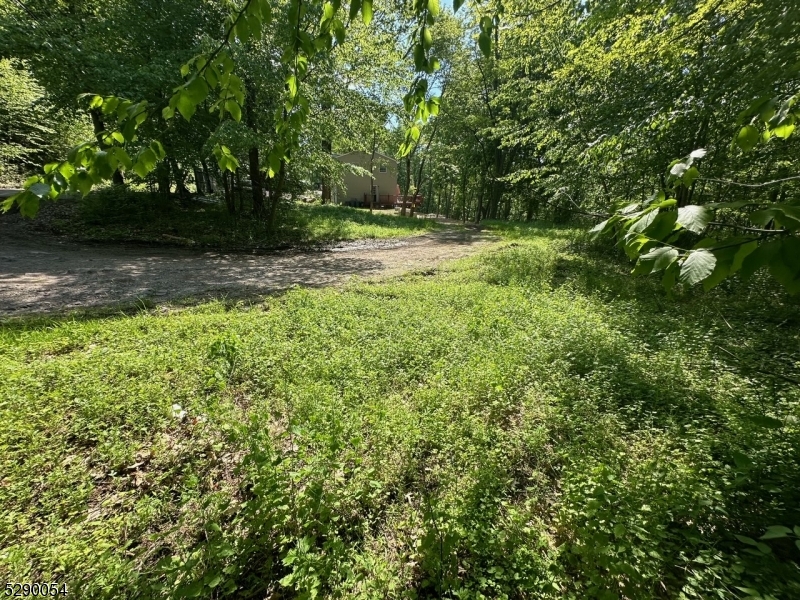 Hewitt - Land