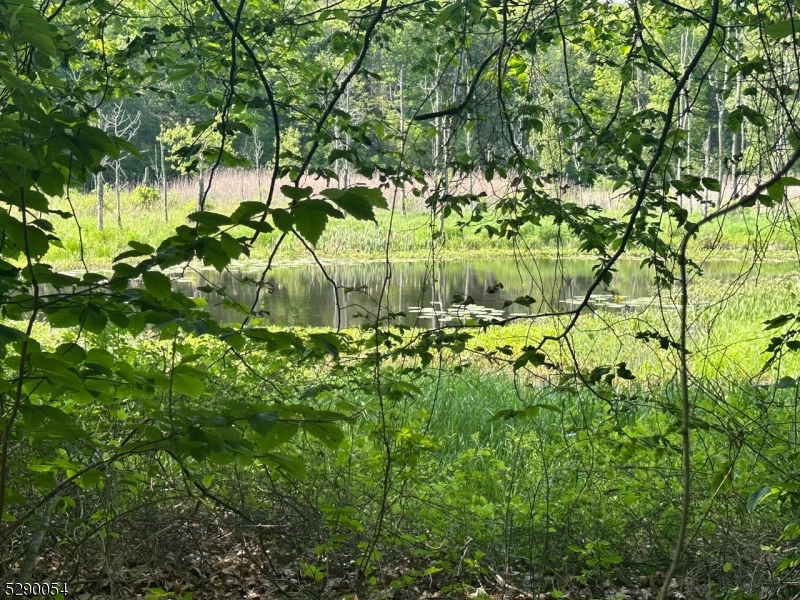 Hewitt - Land