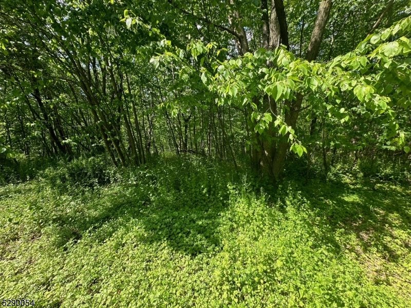 Hewitt - Land