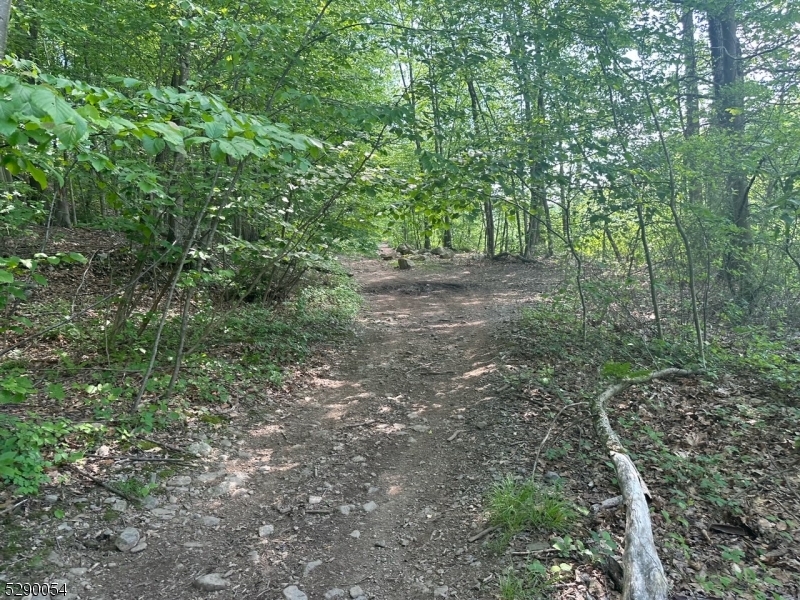 Hewitt - Land