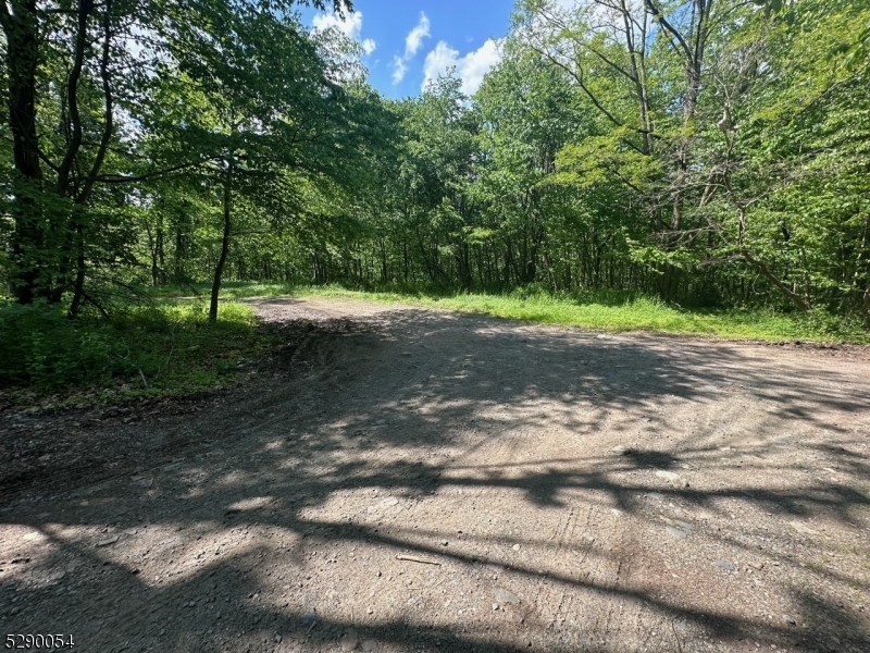 Hewitt - Land