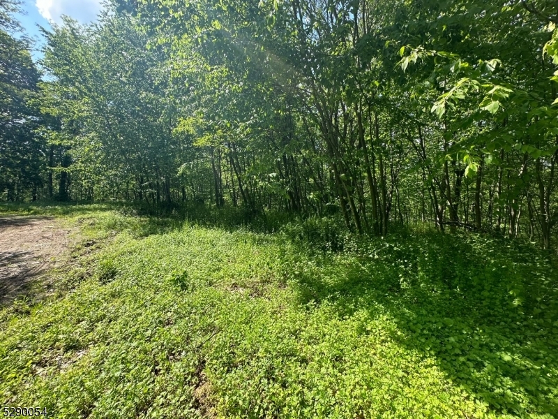 Hewitt - Land