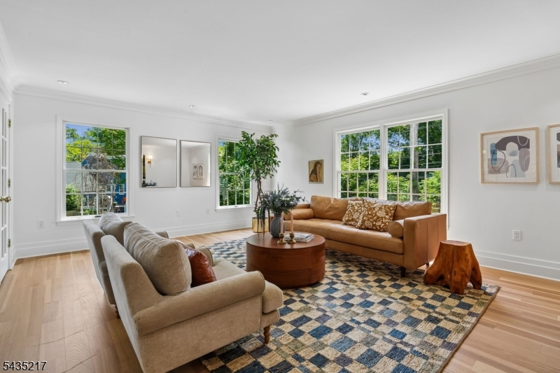 An exceptional opportunity to own a beautifully updated condo just moments from Maplewood Village and downtown Millburn. This ranch-style townhome offers effortless living in a picturesque setting. Thoughtfully designed and filled with natural light, the home features generously sized rooms, an inviting layout and an ideal blend of style and comfort. A gracious foyer welcomes you into an expansive living room highlighted by oversized windows and French doors. The adjoining eat-in kitchen is complete with stainless steel appliances, abundant cabinetry and a sunlit dining area. The main level also features a spacious primary bedroom, a generously sized second bedroom, a full bath and a convenient powder room. The fully finished lower level offers a large family room with a brick fireplace and sliding glass doors to the backyard. An adjacent secondary kitchen, third bedroom, full bath and flex room create the ultimate in versatility, making it ideal for a guest suite or a variety of lifestyle needs. Additional highlights include abundant storage, an attached 2-car garage and an unbeatable location near shopping, dining, parks and direct NYC transportation.