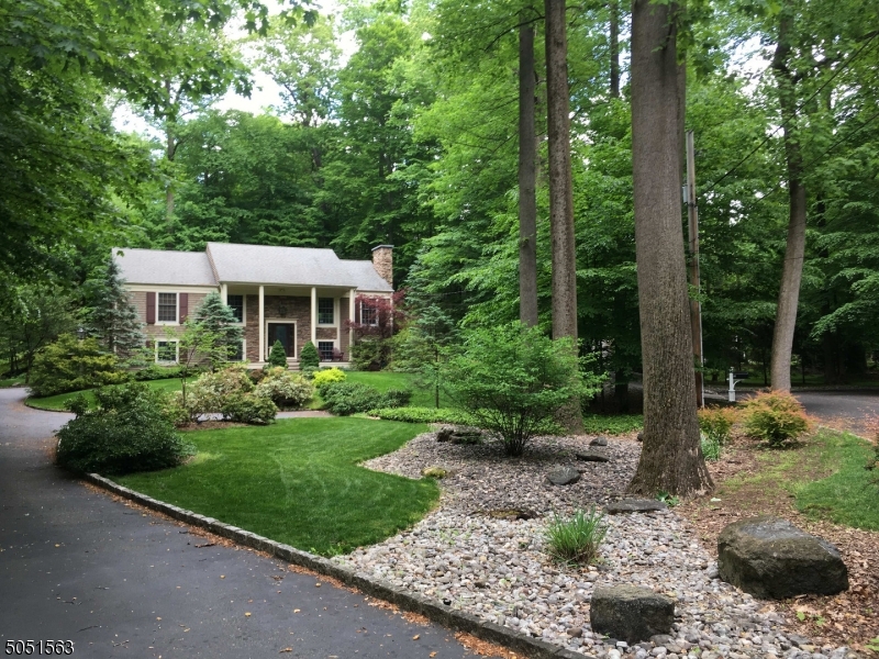 Spacious & beautifully updated Expanded Custom Home w/ 4 BR, 3 FB, 2 half BAs & a gorgeous back yard surrounded by nature set back on over a half an acre of park-like property on a quiet cul-de-sac nestled in one of Morristown's charming pocket neighborhoods. An open, airy layout flows from the large, sunny LR w/ FP, to the DR w/ sliding glass doors overlooking the stunning back yard, to an eat-in kitchen w/ a chic mix of glass & wood cabinets, SS apps, breakfast bar, & coffee bar w/ a second sink. 3 good-sized BRs, a full hall BA, & Master BR suite w/ luxurious en suite BA, office & WIC complete the 1st Fl. The LL has a spacious rec rm, leisure rm, office/guest rm, full BA, powder rm, w/ separate entrance. Whole house generator. Close to trails, NYC train, downtown shops and major highways! Must see!