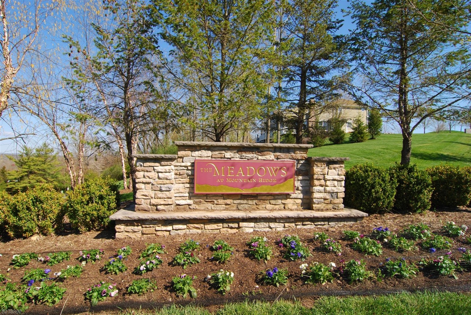 Panther Valley - Residential