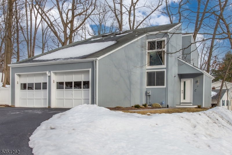 Welcome to this spacious fully updated modern colonial in Morris Township! Home is full of natural light, wood floors, large windows, ample closet space, and wood burning fireplace in LR. Kitchen is fully upgraded w/ SS appliances, quartz countertops, tile backsplash, large island & pendant lighting. 4 spacious bedrooms w/lots of closet space & natural light. Master bath is beautifully updated w/ spa-like shower. All bathrooms are completely updated with modern touches. Utilize bedrooms as a work from home office. Kitchen, dining and LR all serve as entry points to the patio creating an open concept living space, ideal for entertaining. Finished basement w/ storage. HVAC, water heater, garage door openers, windows, driveway new in 2019. EZ access to Morristown & NYC Midtown Direct Train. Don't miss this gem!
