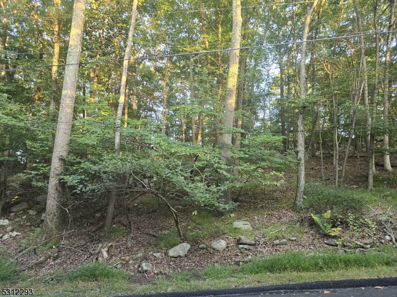Discover a unique opportunity to own a slice of tranquility with this enchanting .35-acre parcel perfectly situated near the stunning Lake Hopatcong, this property offers a rare blend of natural beauty and convenience. Whether you're seeking a serene escape from city life, a spot for a vacation getaway, or a peaceful place to build your forever home, this property offers a beautiful setting. Embrace the beauty of nature while staying close to community amenities and recreational activitiesResidential zoning, providing flexibility for single-family homes, vacation properties, or recreational use. Verify with local zoning authorities for specific requirements.Nearby: Just minutes from Lake Hopatcong, where you can enjoy boating, fishing, and water sports. Hopatcong State Park and various hiking trails are close by, offering outdoor adventures. Convenient access to local shops, restaurants, and schools.