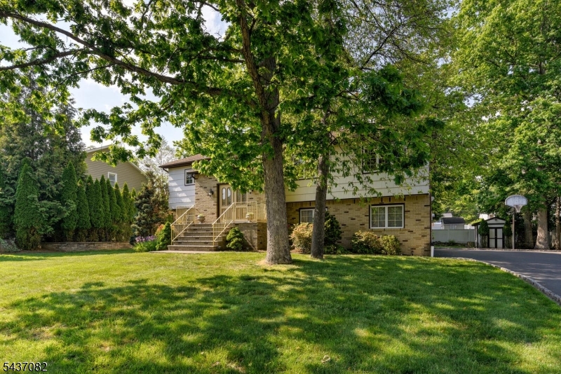 Black Oak - Residential
