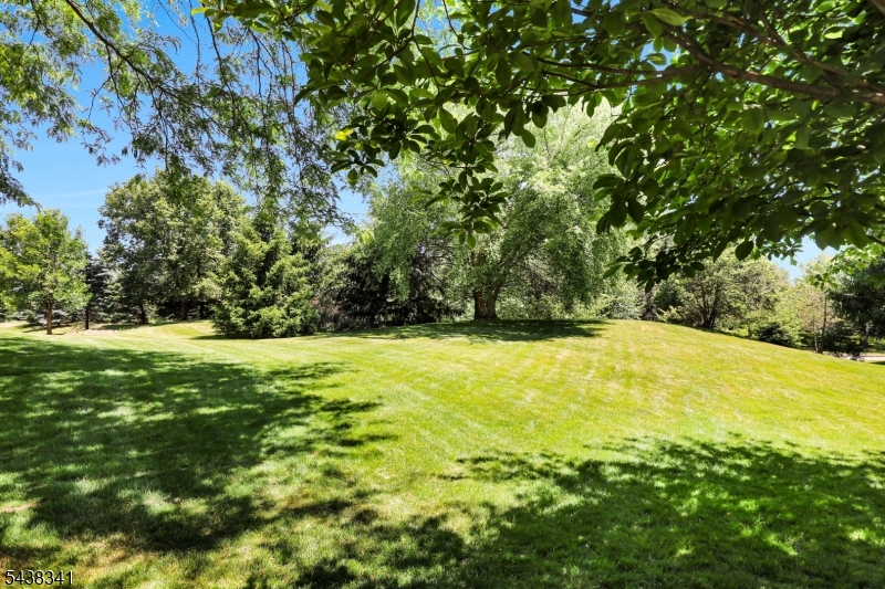 Hamilton Crest - Residential