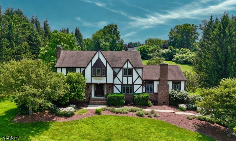 Welcome to this beautifully maintained 4-bedroom home in one of Sparta Township's most sought-after neighborhoods, Sussex Mills. Nestled on a private, functional lot surrounded by mature trees, this property offers the perfect balance of comfort, space, and privacy. Inside, you'll find a thoughtfully designed floor plan with hardwood flooring throughout, two inviting fireplaces, and an impressive oversized great room that's ideal for entertaining or everyday living. The functional kitchen features a dual zone gas range, granite countertops, and a pantry, offering both style and everyday convenience. The spacious primary suite features a walk-in closet and a luxurious en-suite bath with vaulted ceilings, a skylight, and a jetted tub for a spa-like retreat. Three additional generously sized bedrooms provide plenty of space for everyone. The unfinished basement offers endless potential to create the recreation room, gym, workshop, or additional living space you've been dreaming of. A high-efficiency Buderus boiler adds to the home's value and energy efficiency. Meticulously cared for and move-in ready, this exceptional home combines timeless features, an outstanding layout, and an unbeatable location in one of Sparta's premier neighborhoods.