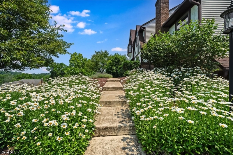 Sussex Mills - Residential